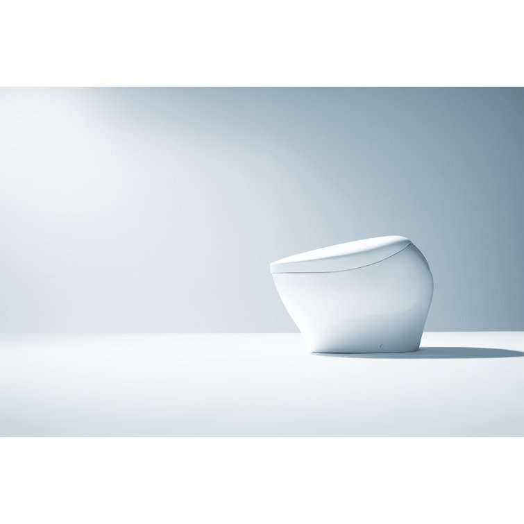 White Ceramic Dual Flush Elongated Bidet Toilet