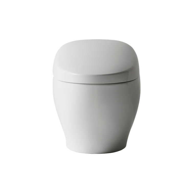 White Ceramic Dual Flush Elongated Bidet Toilet
