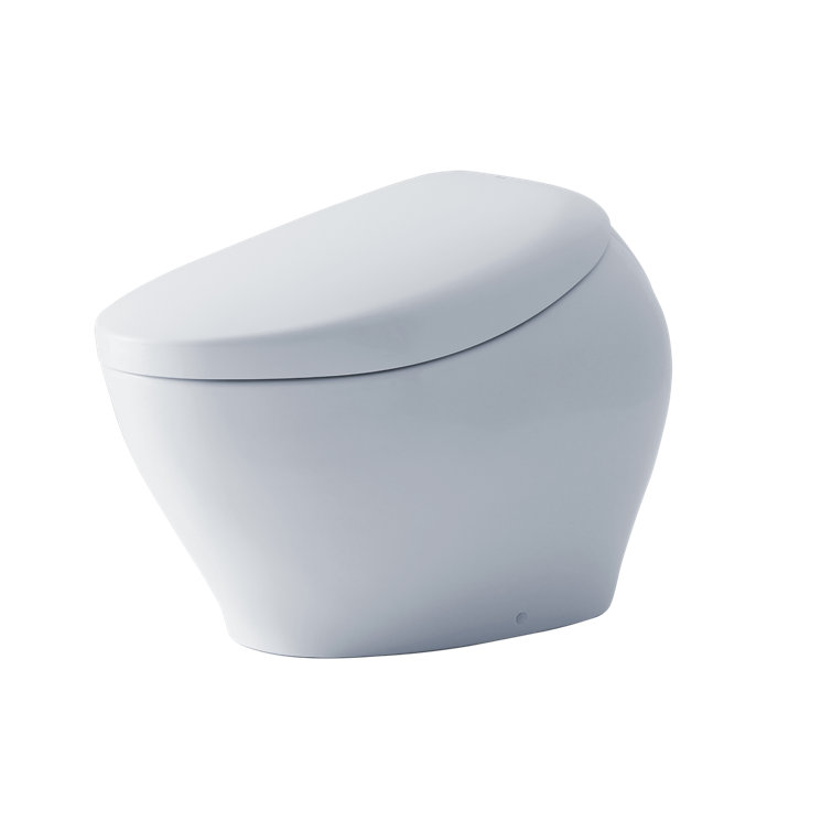 White Ceramic Dual Flush Elongated Bidet Toilet