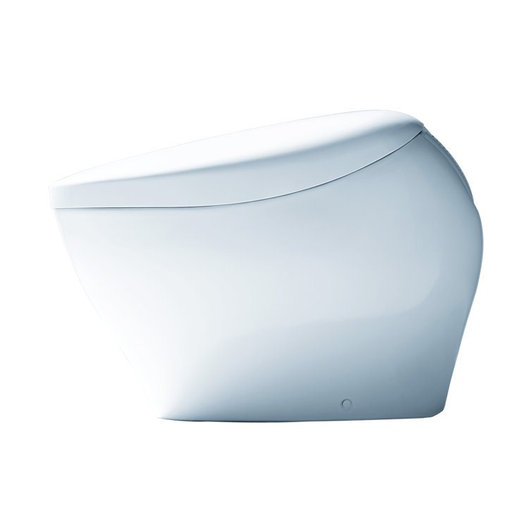 White Ceramic Dual Flush Elongated Bidet Toilet