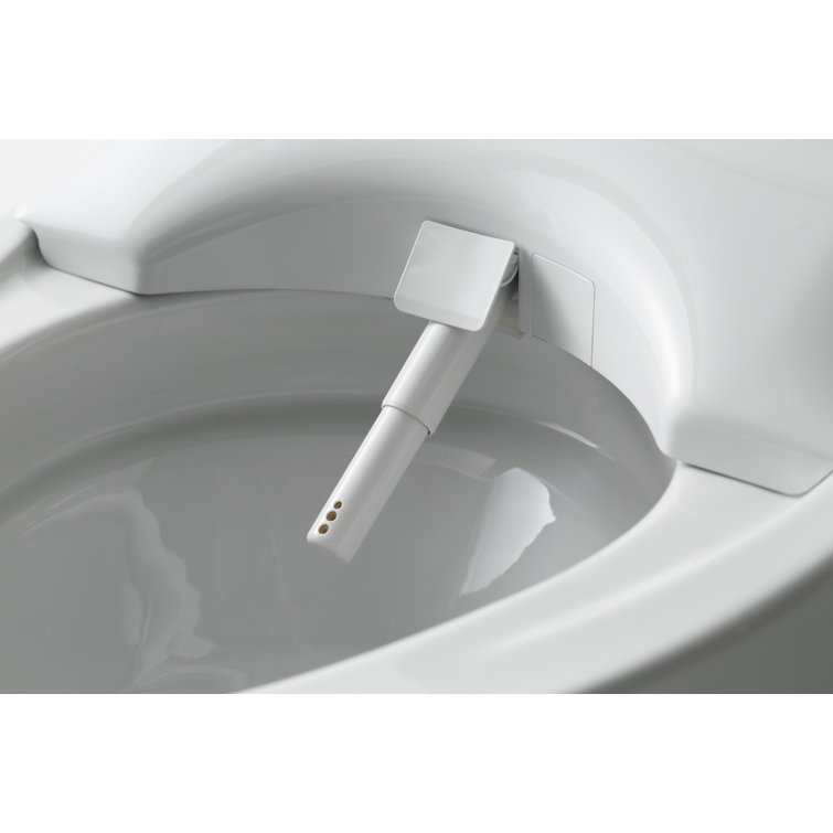 White Ceramic Dual Flush Elongated Bidet Toilet