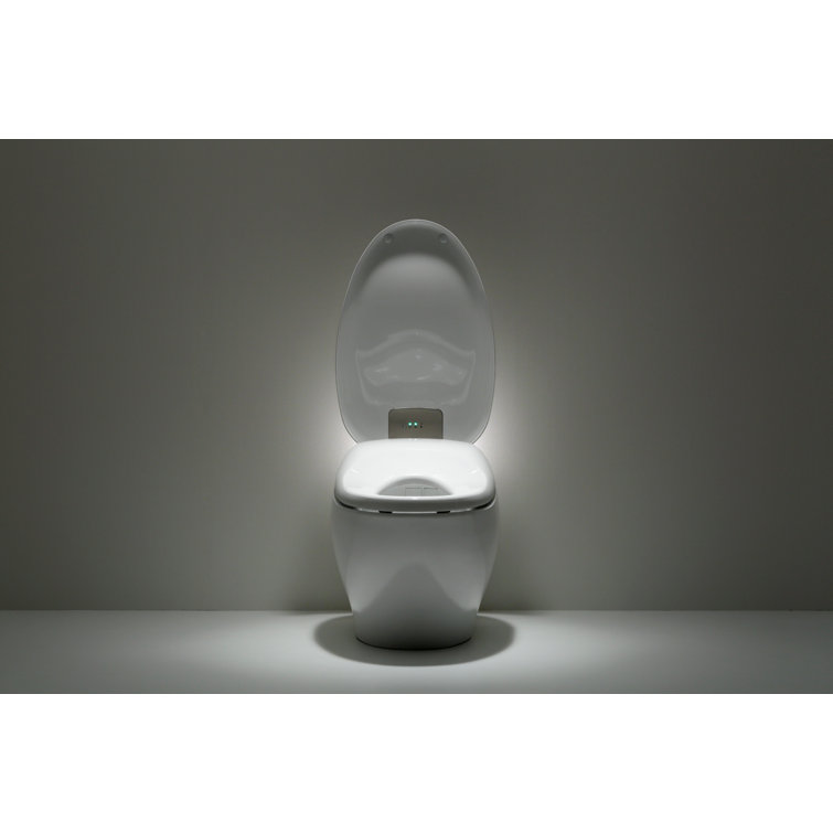 White Ceramic Dual Flush Elongated Bidet Toilet