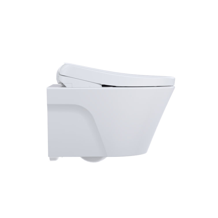 Cotton White Wall-Mounted Elongated Dual Flush Toilet