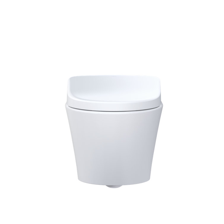 Cotton White Wall-Mounted Elongated Dual Flush Toilet