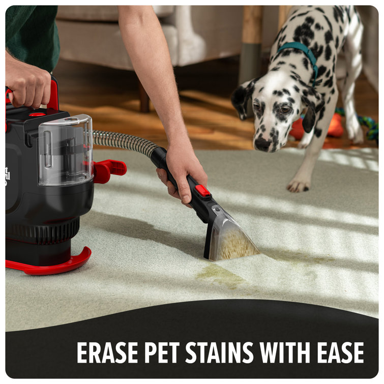 Compact Black and Red Bagless Spot Cleaner for Pets