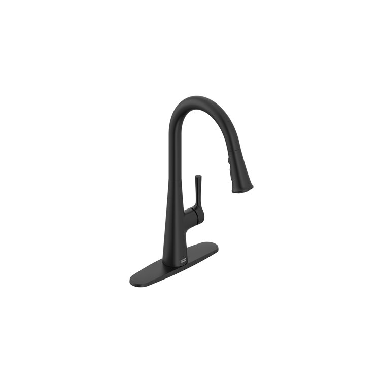 Matte Black Single Handle Pull-Down Kitchen Faucet