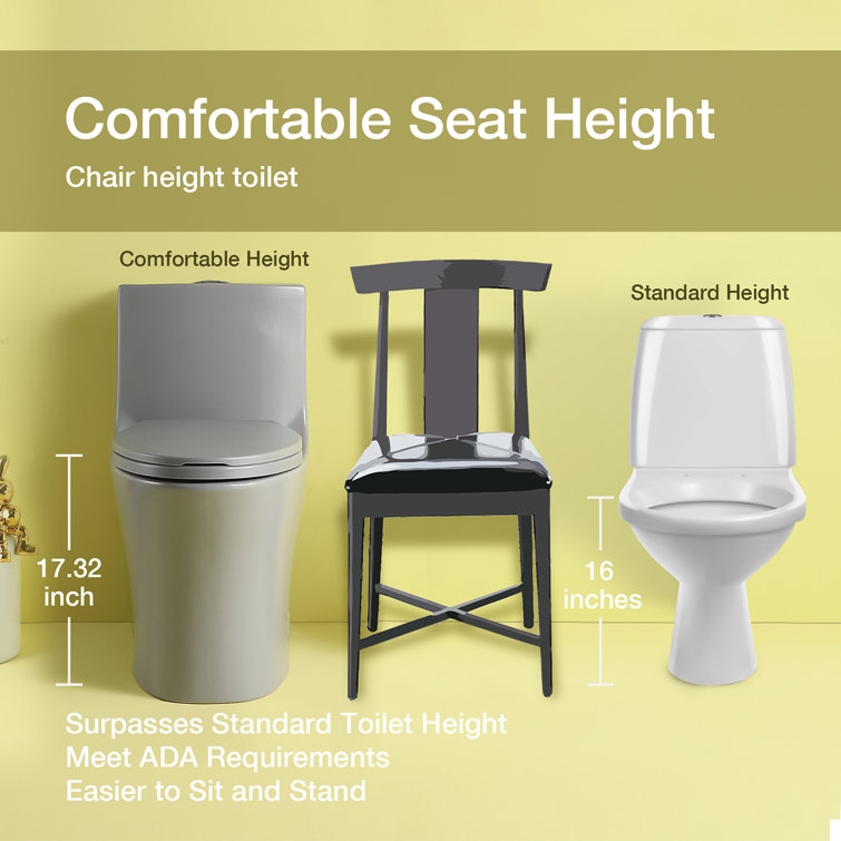 Light Gray Elongated Dual Flush One-Piece Toilet with Soft Closing Seat