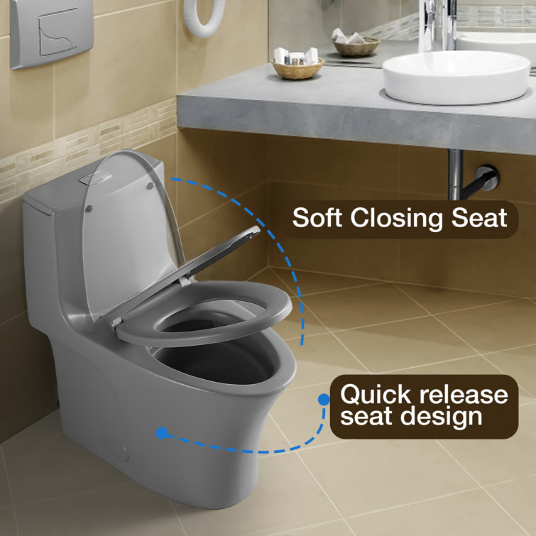 Light Gray Elongated Dual Flush One-Piece Toilet with Soft Closing Seat