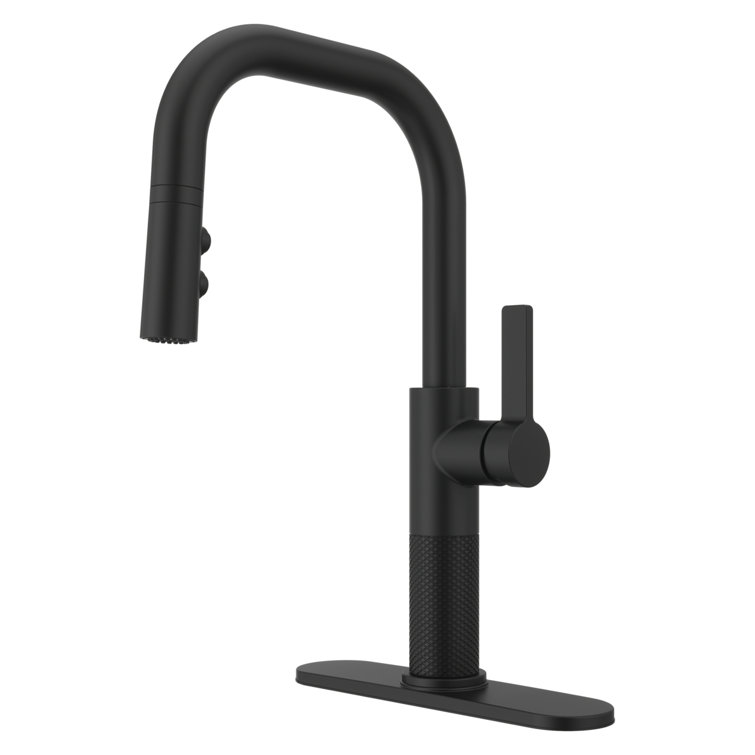 Matte Black Single Handle Pull-Down Kitchen Faucet