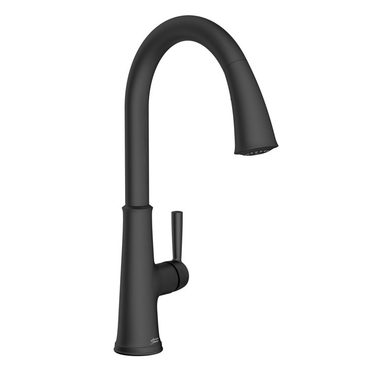 Matte Black Single Handle Pull-Down Kitchen Faucet with Spray
