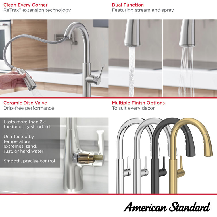 Polished Chrome Pull-Down Kitchen Faucet with Spray