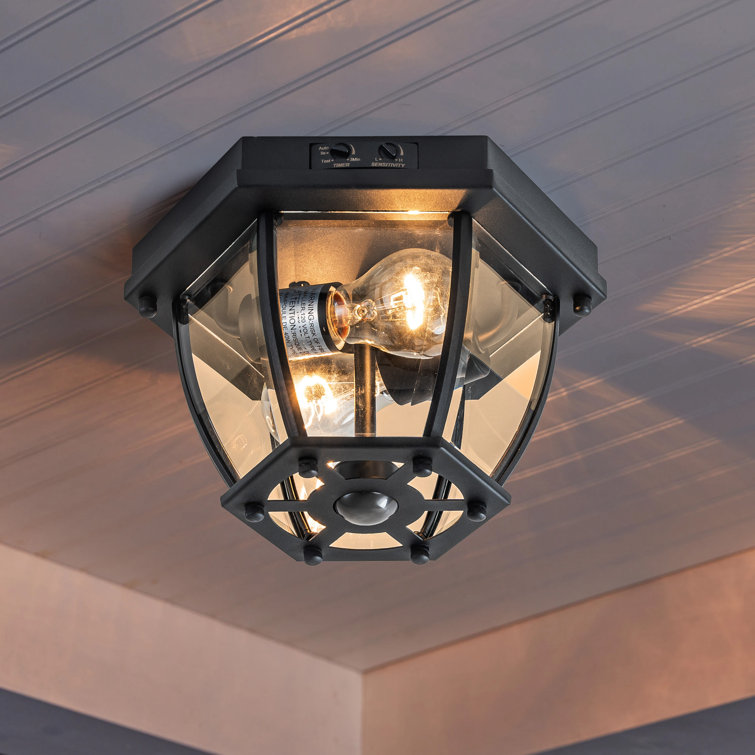 Matte Black 2-Light Outdoor Flush Mount with Clear Glass