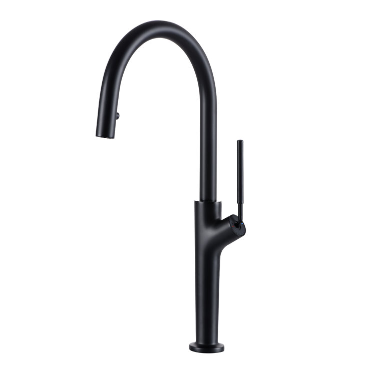 Matte Black Single Handle High Arc Kitchen Faucet with Pull-out Spray
