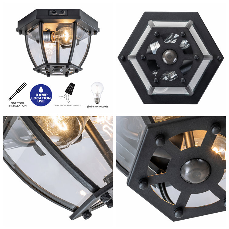 Matte Black 2-Light Outdoor Flush Mount with Clear Glass