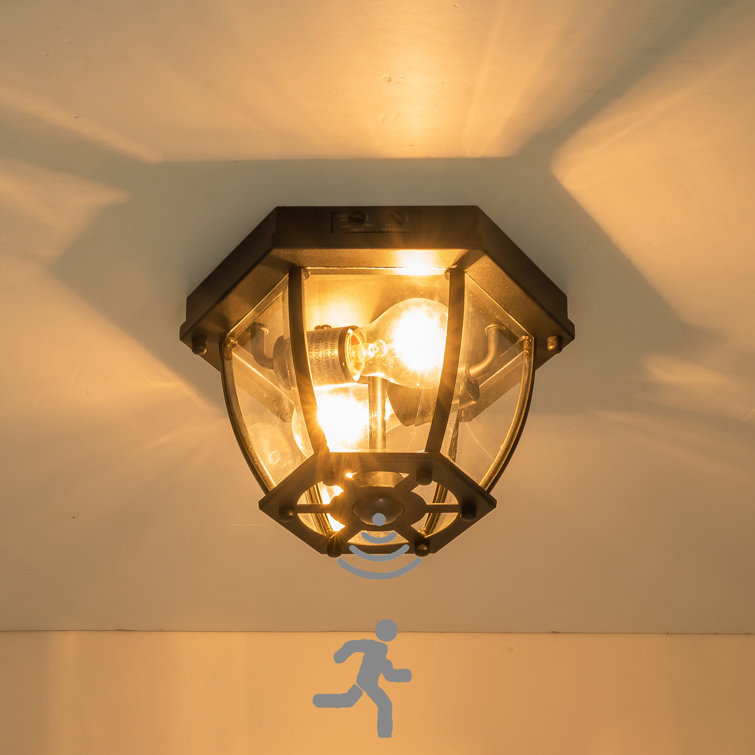 Matte Black 2-Light Outdoor Flush Mount with Clear Glass