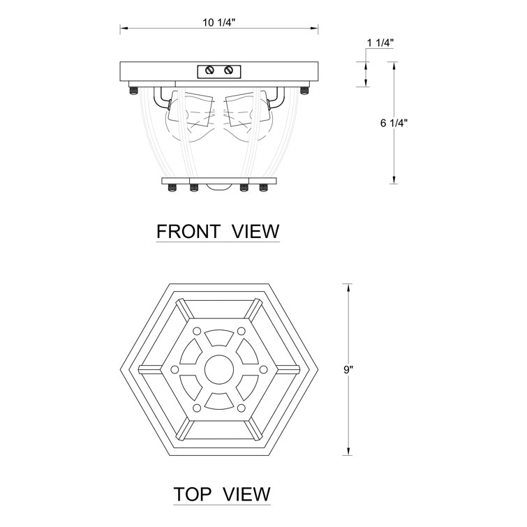 Matte Black 2-Light Outdoor Flush Mount with Clear Glass