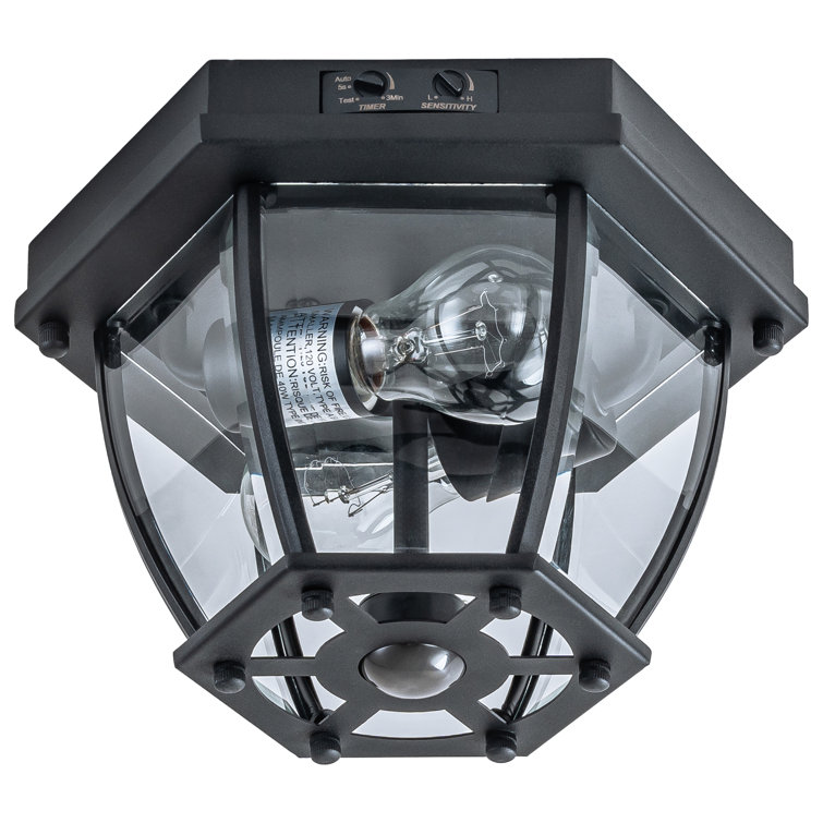 Matte Black 2-Light Outdoor Flush Mount with Clear Glass