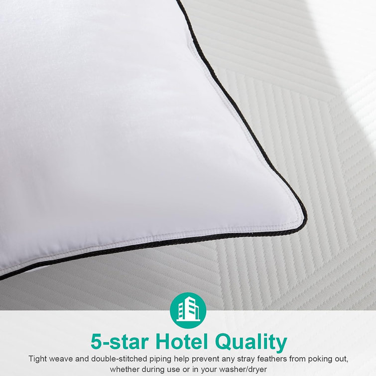 Standard White Cotton Goose Down Blend Pillow Set