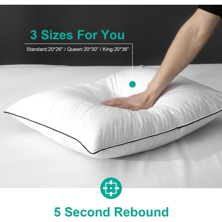 Standard White Cotton Goose Down Blend Pillow Set