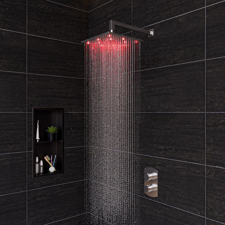 Brushed Black Stainless Steel Double Shelf Shower Niche