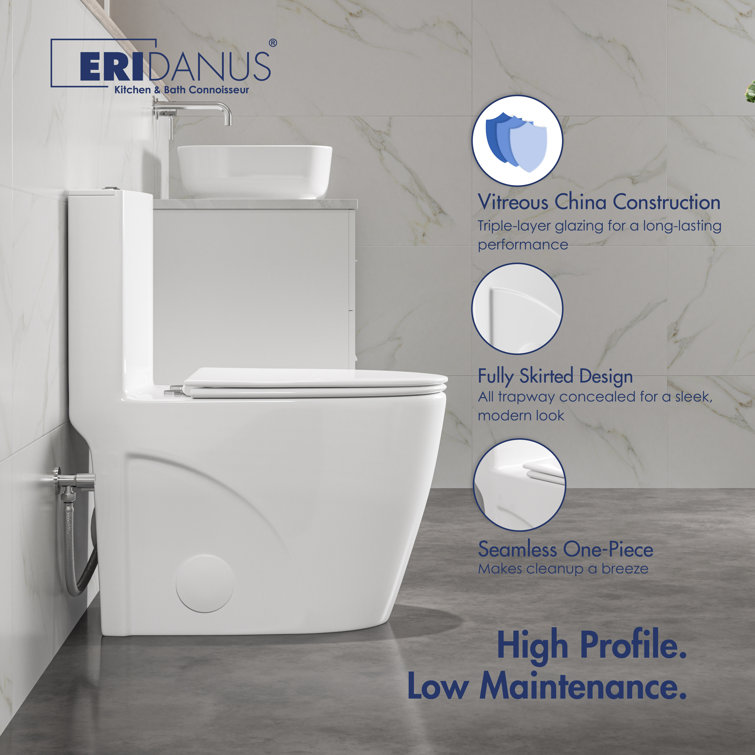 White Elongated Dual Flush High Efficiency One-Piece Toilet