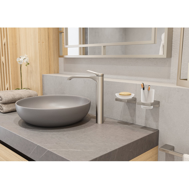 Hansgrohe Brushed Nickel Metal Toilet Paper Holder