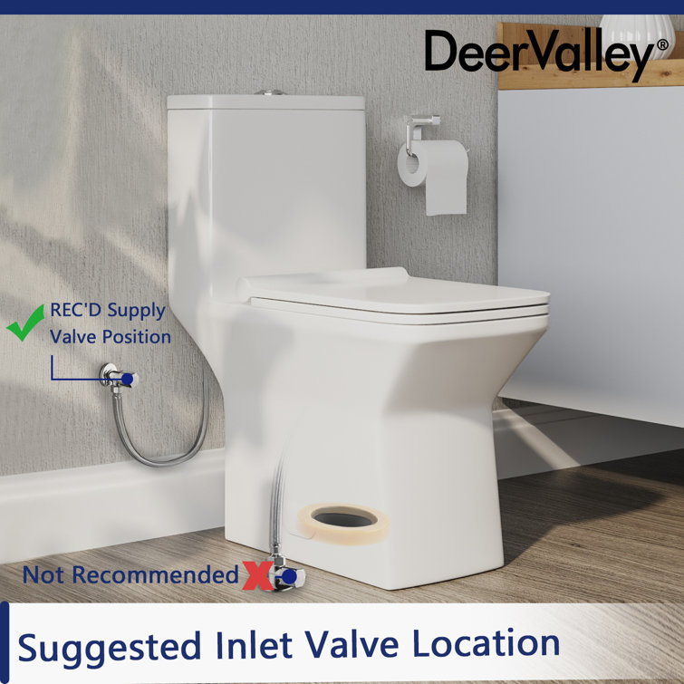 Ace White Ceramic Dual-Flush Elongated One-Piece Toilet