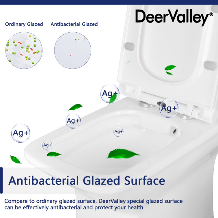 Ace White Ceramic Dual-Flush Elongated One-Piece Toilet