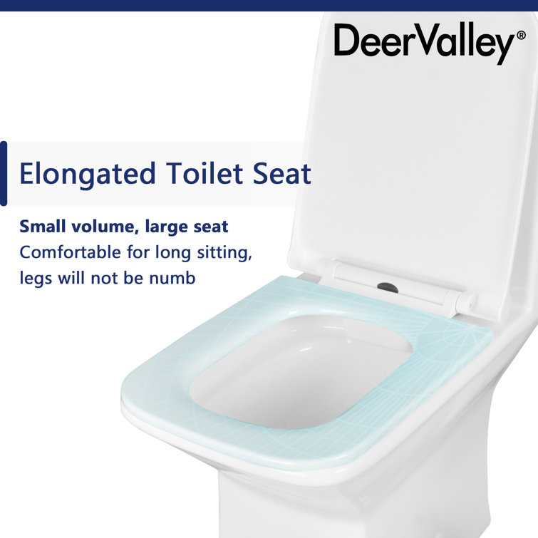Ace White Ceramic Dual-Flush Elongated One-Piece Toilet