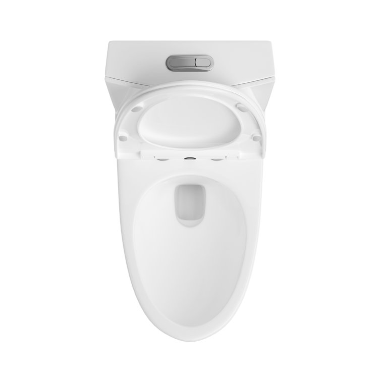 White Elongated Dual Flush High Efficiency One-Piece Toilet