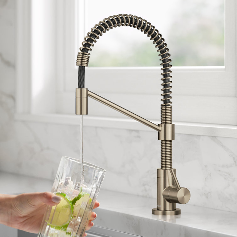 Bolden Antique Bronze Single Handle Filter Faucet with Pull-out Spray
