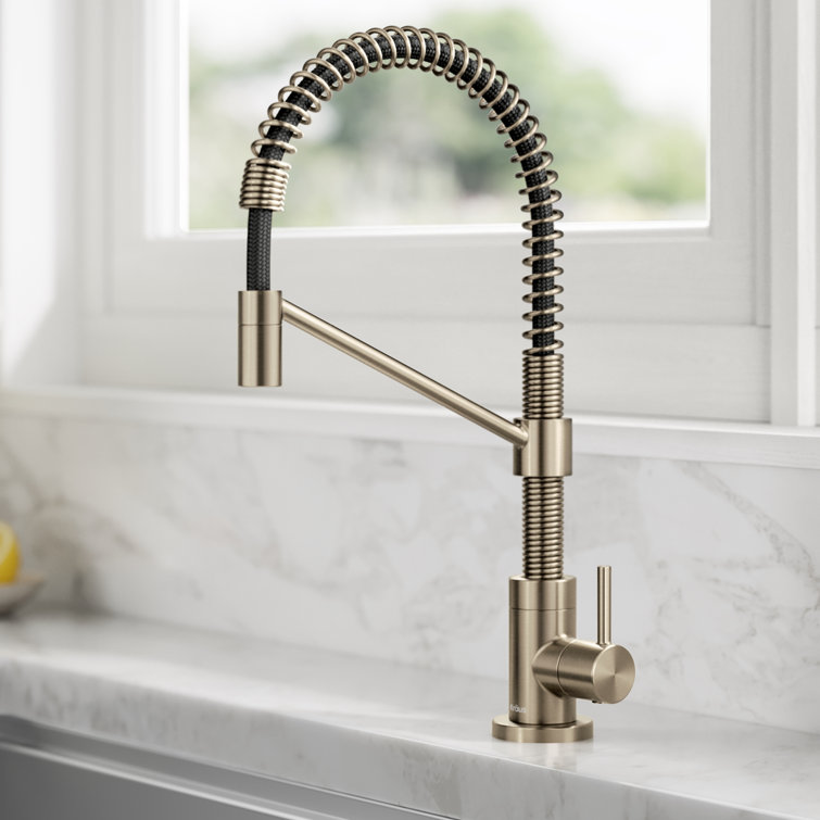Bolden Antique Bronze Single Handle Filter Faucet with Pull-out Spray