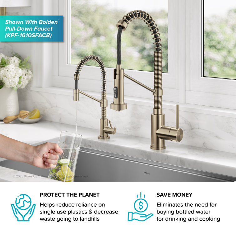 Bolden Antique Bronze Single Handle Filter Faucet with Pull-out Spray