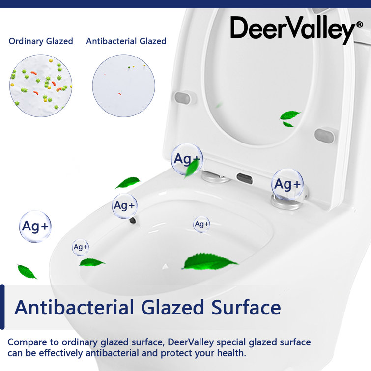 Ally White Ceramic Dual-Flush Elongated One-Piece Toilet