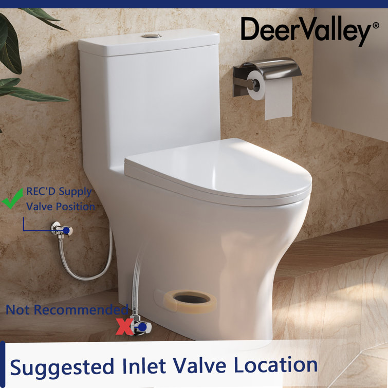 Ally White Ceramic Dual-Flush Elongated One-Piece Toilet