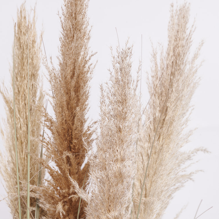 68'' Tall Faux Pampas Grass Arrangement in Black Planter