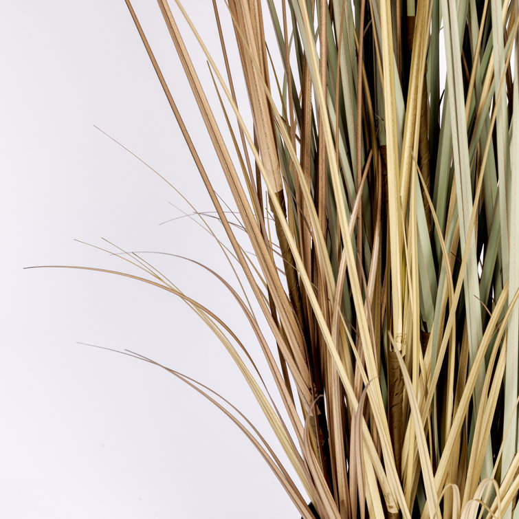 68'' Tall Faux Pampas Grass Arrangement in Black Planter