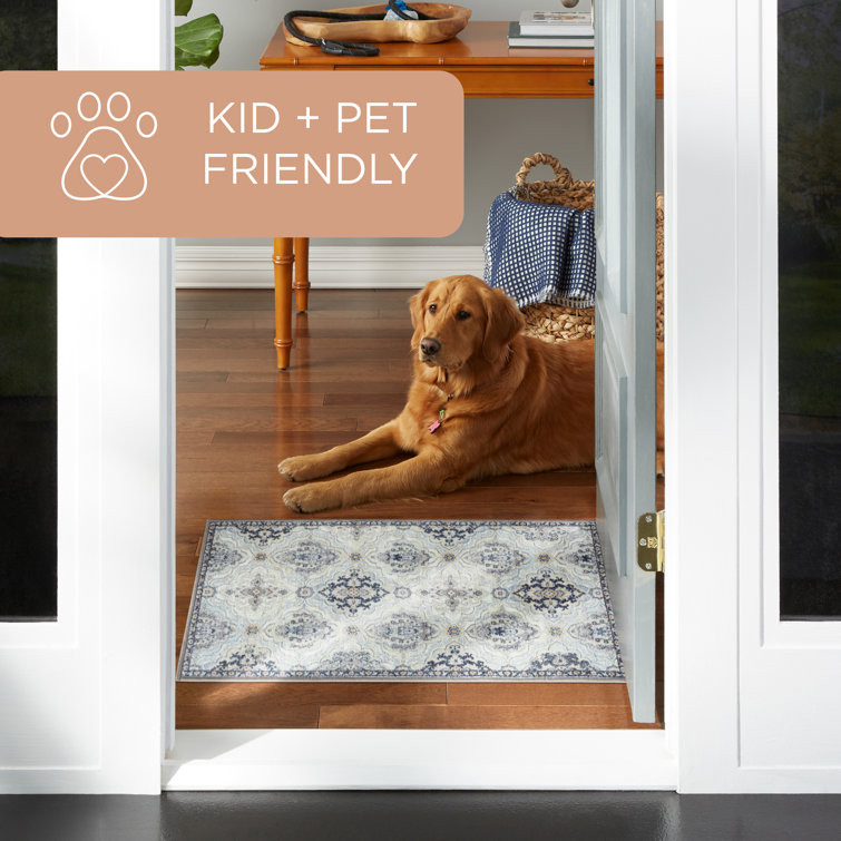 Avani Gray and Blue Synthetic Tufted Washable 6' x 9' Area Rug
