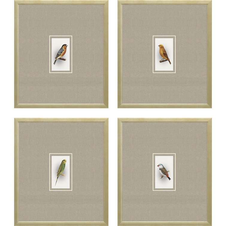 Champagne Gold Framed Bird Print Set of 4
