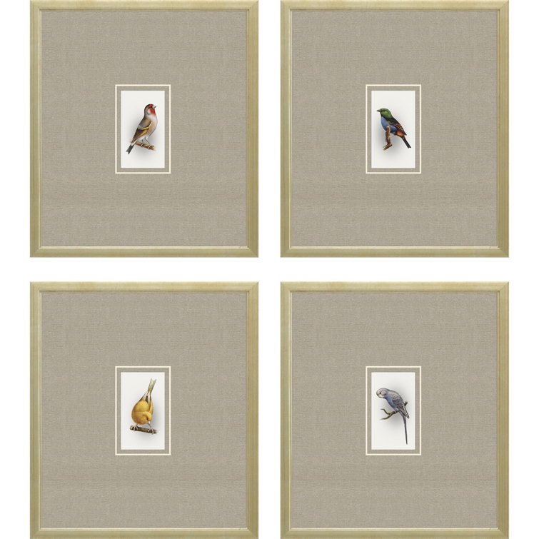 Champagne Gold Framed Bird Print Set of 4