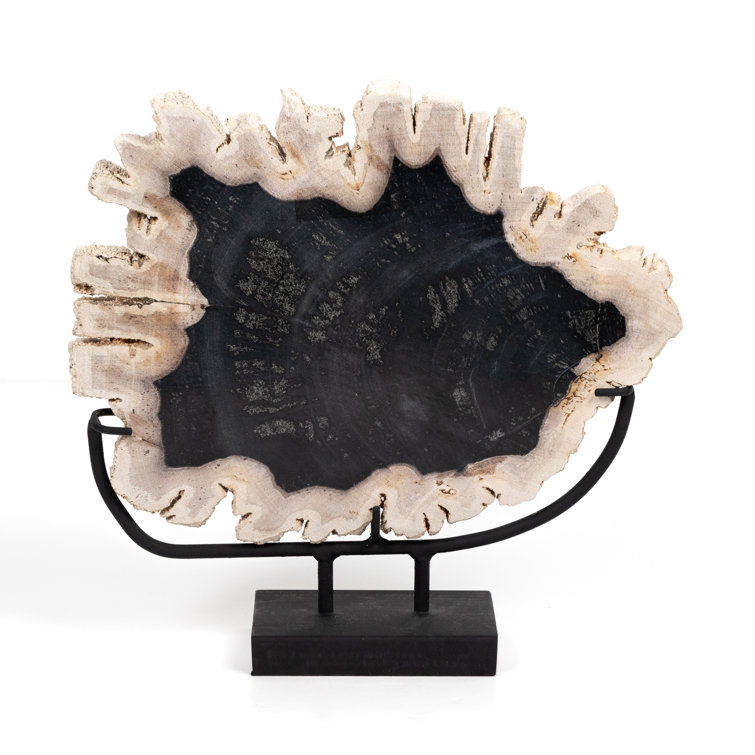 Dark Petrified Wood Sculpture with Matte Black Iron Stand