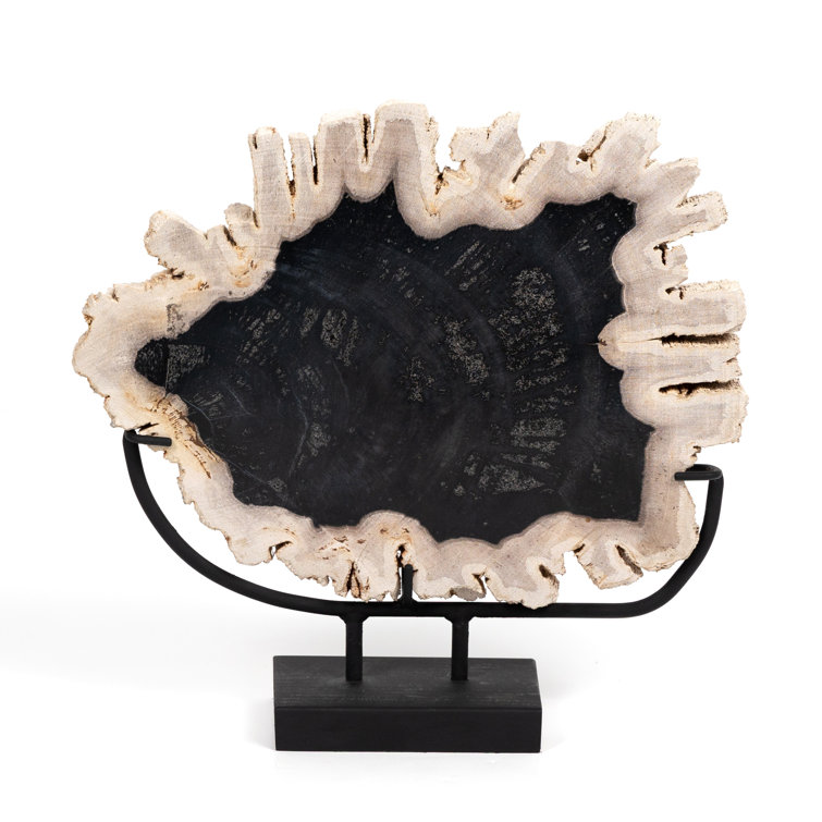 Dark Petrified Wood Sculpture with Matte Black Iron Stand