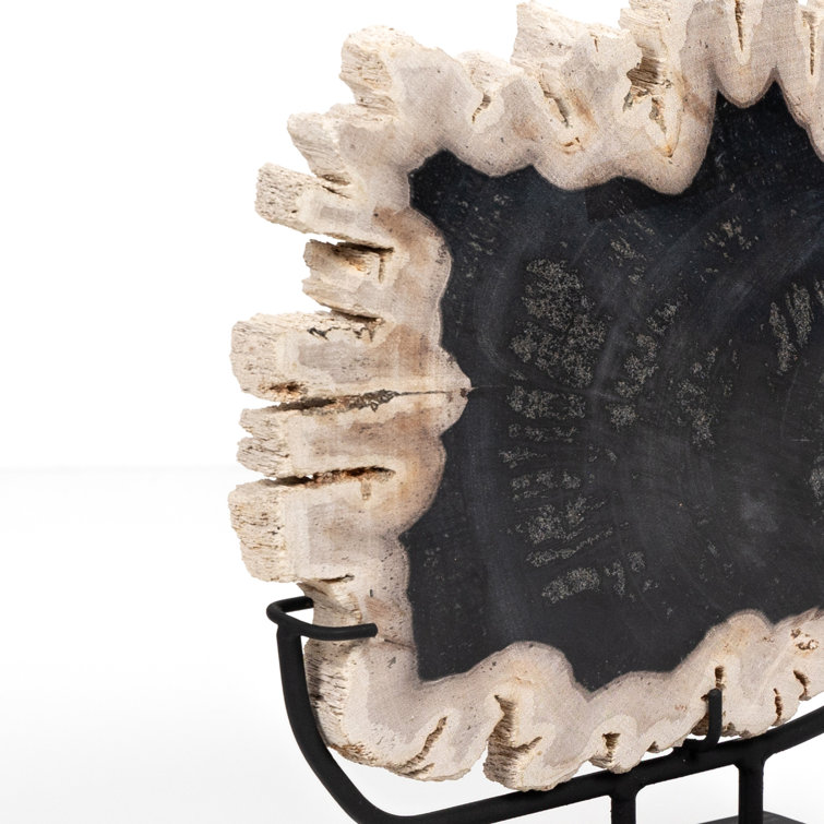 Dark Petrified Wood Sculpture with Matte Black Iron Stand