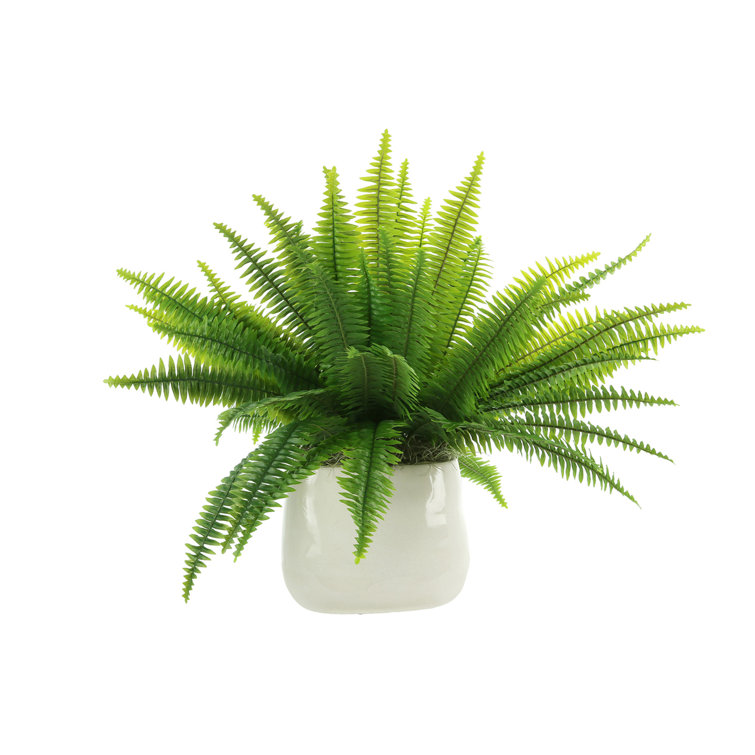 Lifelike Green Polysilk Fern in Round Ceramic Vase
