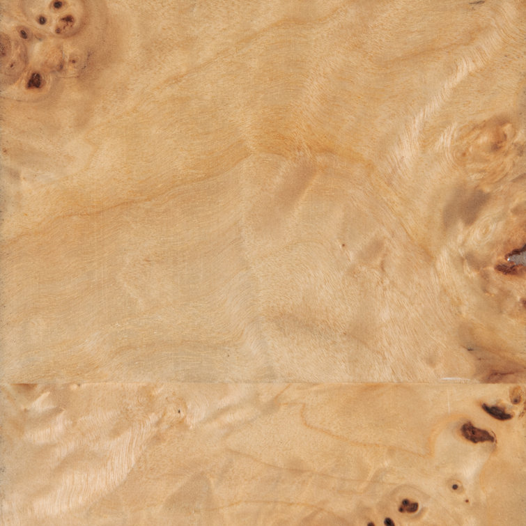 Mappa Burl Brown Rectangular Cocktail Table with Bronze Leaf Finish