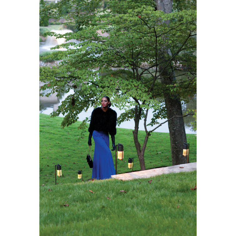 Elegant Black Aluminum LED Pathway Light with Clear Seedy Glass