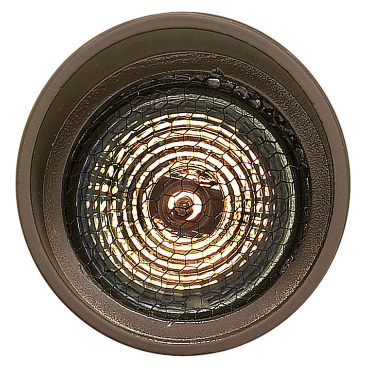Matte Bronze LED Outdoor Spotlight with Clear Lens