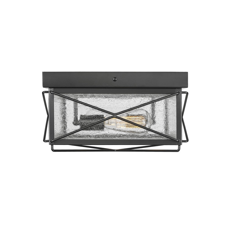 Robinson Black Glass 2-Bulb Outdoor Flush Mount Light