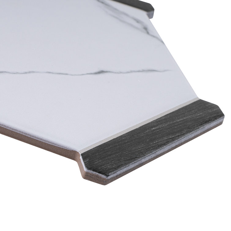 Graphite Gray Hexagon Matte Porcelain Wall & Floor Tile