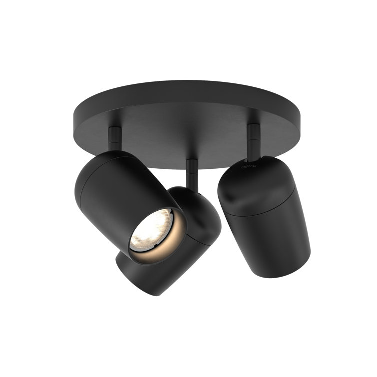 Matte Black Triple Round Indoor Spotlight